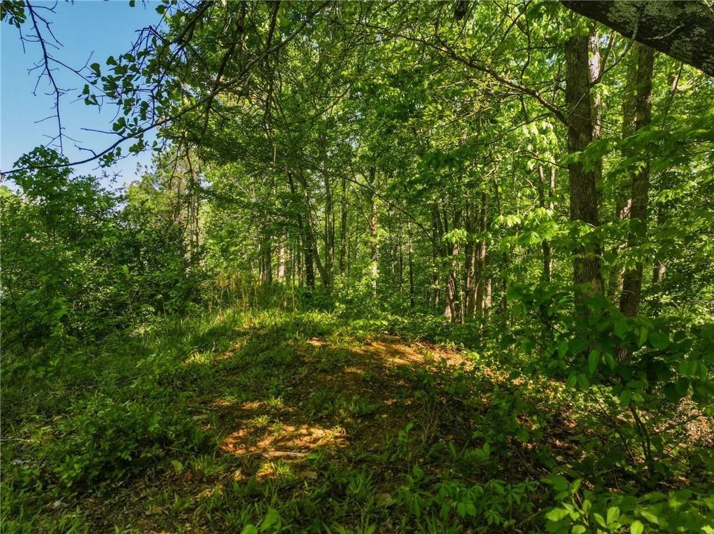 Lot 7 Summit Drive Dahlonega GA 30533