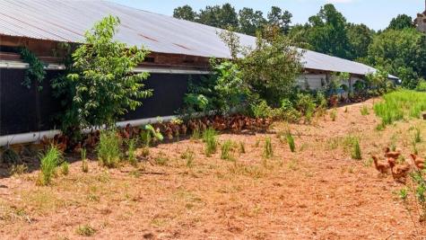1068 Stivers Road Jasper GA 30143