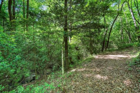 101 Yellow Bluff Road Dahlonega GA 30533