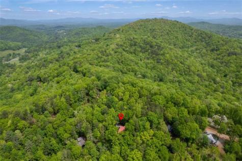 305 Martin Crossing Cherry Log GA 30522