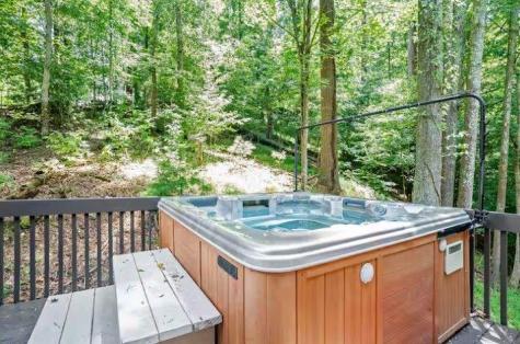 49 Balsa Court Ellijay GA 30540