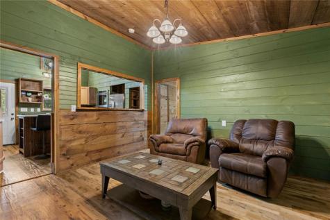 56 N River Road Mineral Bluff GA 30559