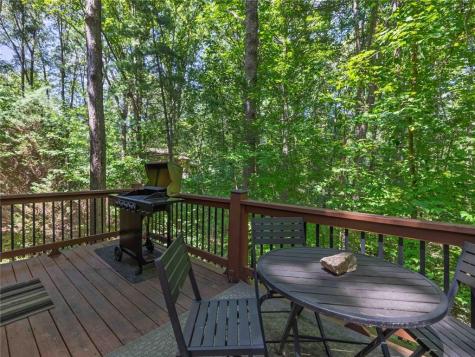 97 Eagles Nest Road Sautee Nacoochee GA 30571
