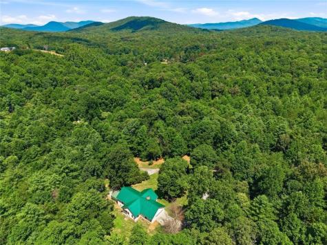 176 Mill Trace Court Cleveland GA 30528