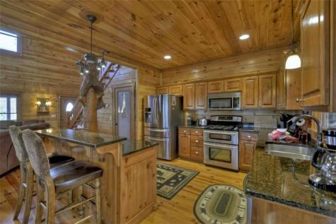 207 Walker Ridge Way Mineral Bluff GA 30559