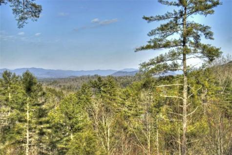 207 Walker Ridge Way Mineral Bluff GA 30559