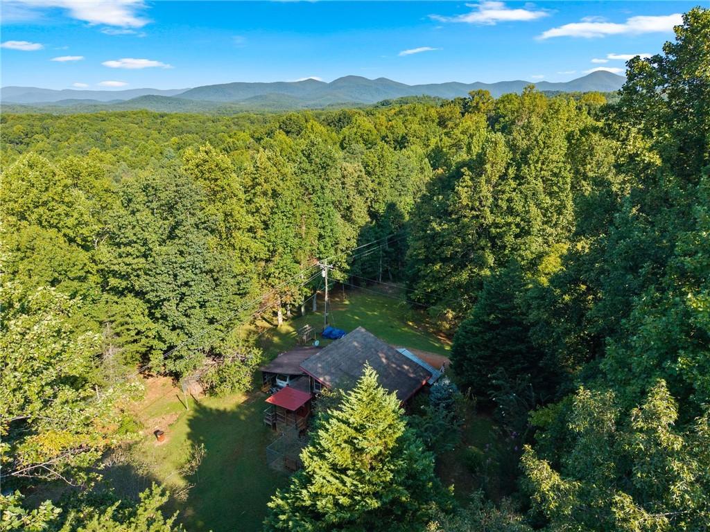 5351 Highway 19 N Dahlonega GA 30533