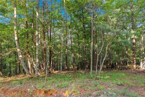 5351 Highway 19 N Dahlonega GA 30533