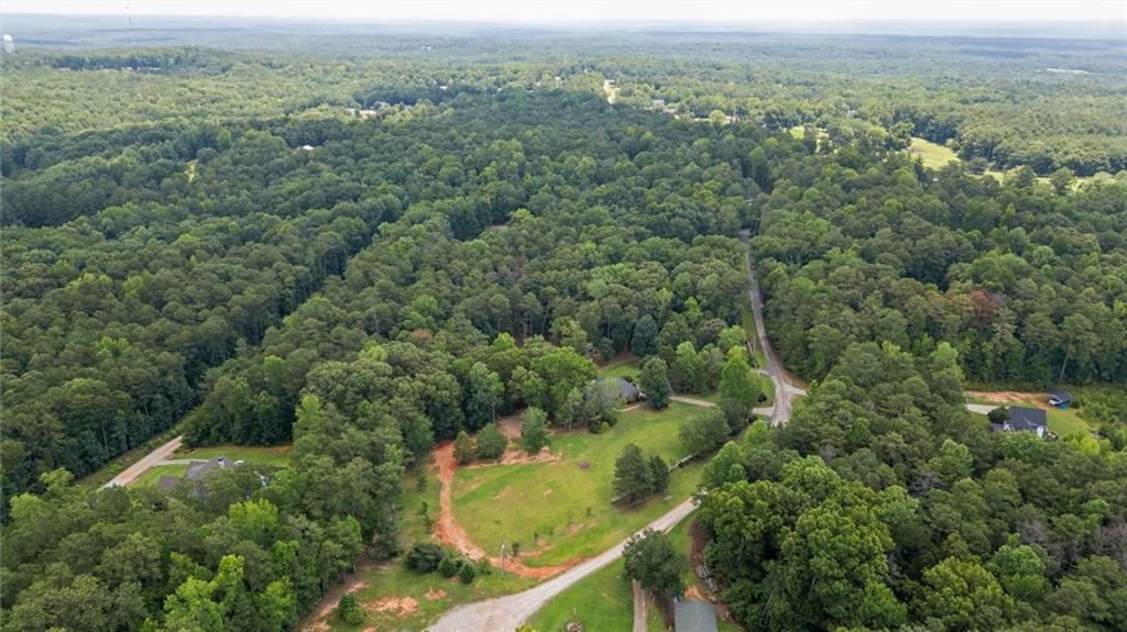 9790 Court Lynn Lane Winston GA 30187