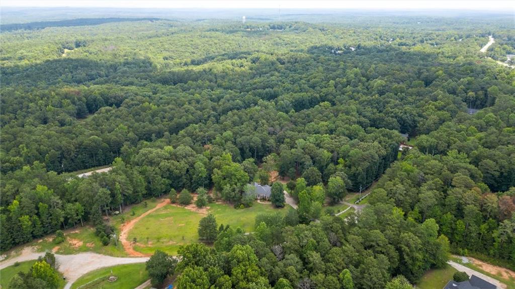 9790 Court Lynn Lane Winston GA 30187