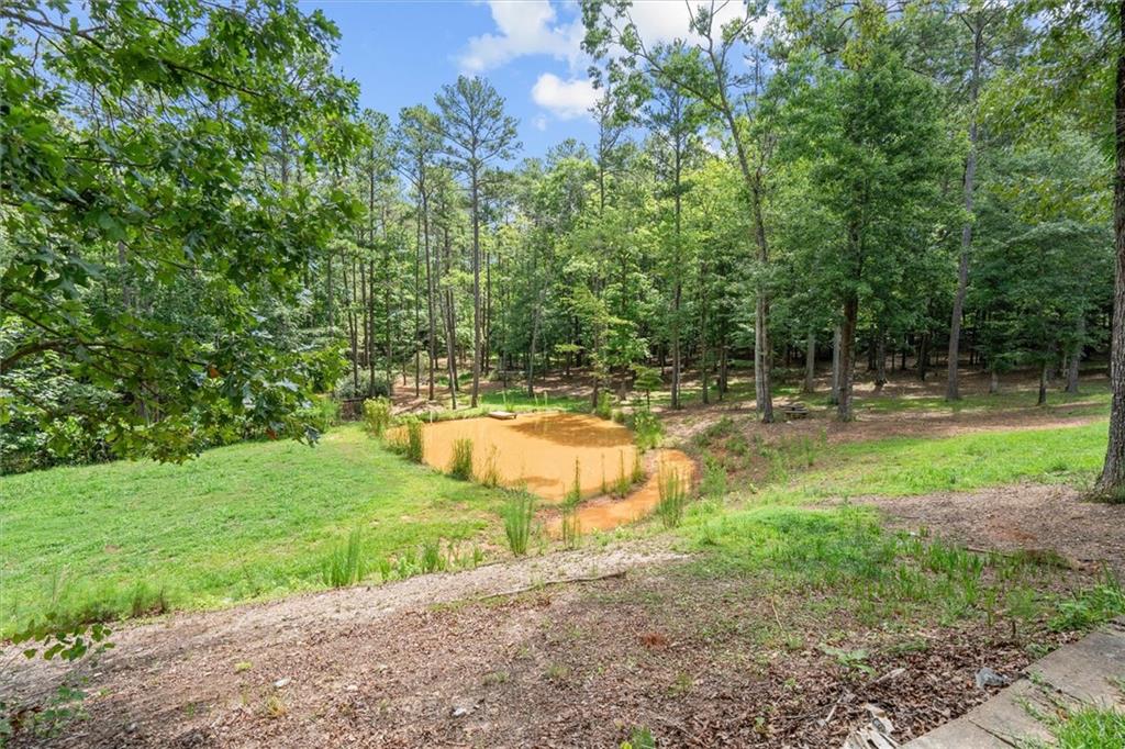 9790 Court Lynn Lane Winston GA 30187