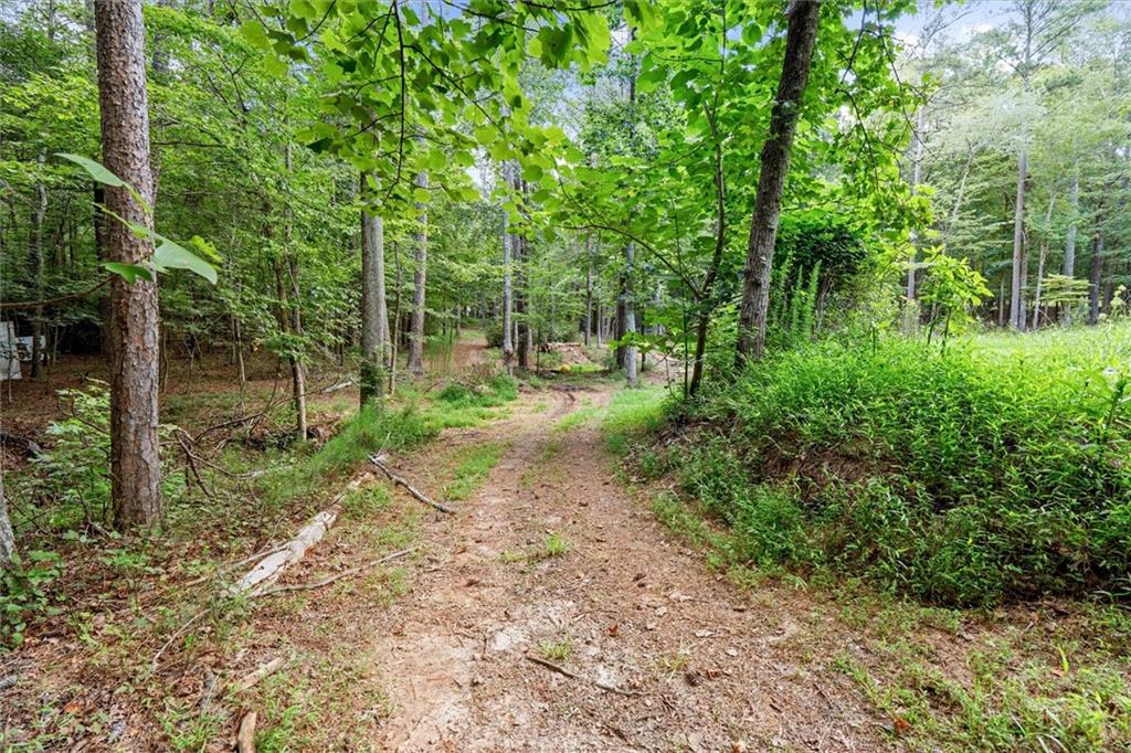 9790 Court Lynn Lane Winston GA 30187