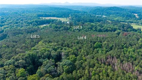 Lot 4 136 Highway 136 Connector Talking Rock GA 30175