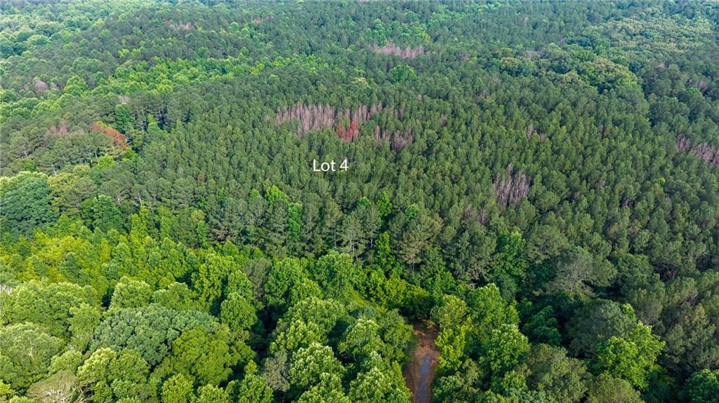 Lot 4 136 Highway 136 Connector Talking Rock GA 30175