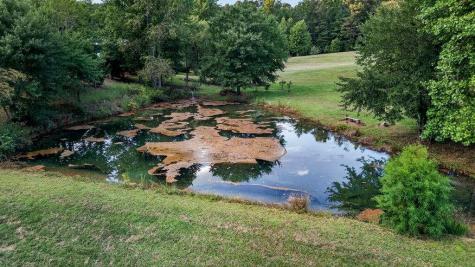 210 W Pierceville Road W Mccaysville GA 30555