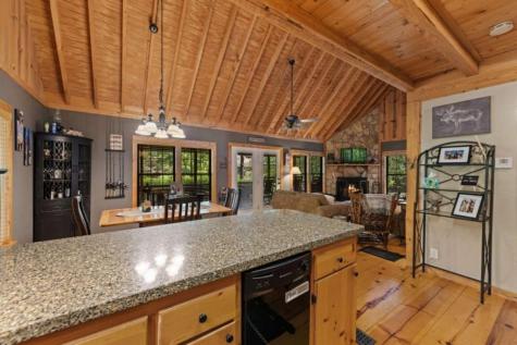 224 Dusty Bryson Drive Suches GA 30572