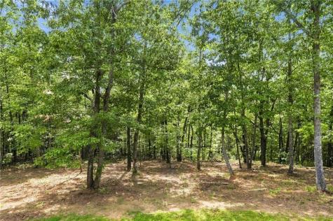 145 Ridgeline Road Talking Rock GA 30175