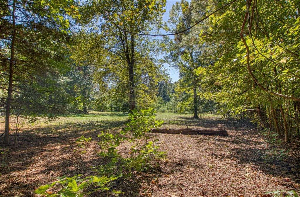 1735 Highway 85 Senoia GA 30276