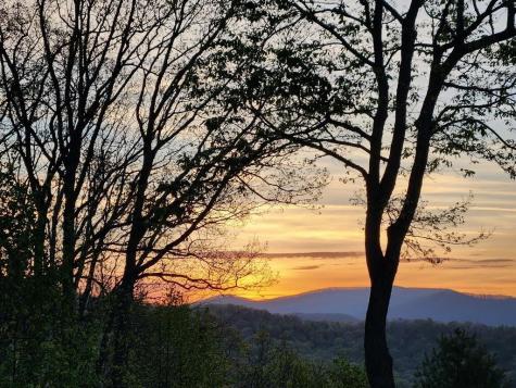 832 Scenic Mountain View Road Blue Ridge GA 30513