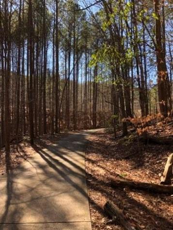 153 Fort Gibson Court Waleska GA 30183