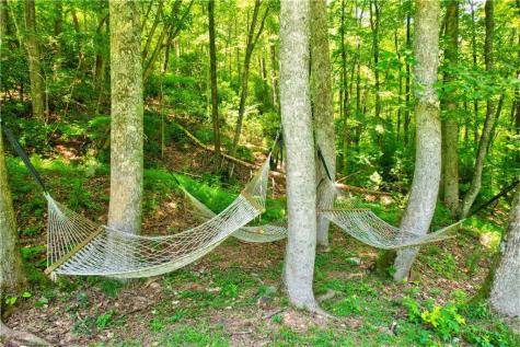50 Trails End Court Ellijay GA 30536