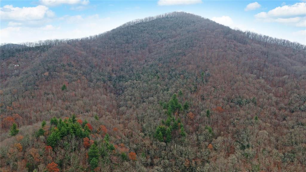 333 Favor Lane Rabun Gap GA 30568