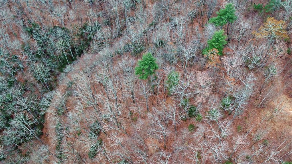 333 Favor Lane Rabun Gap GA 30568