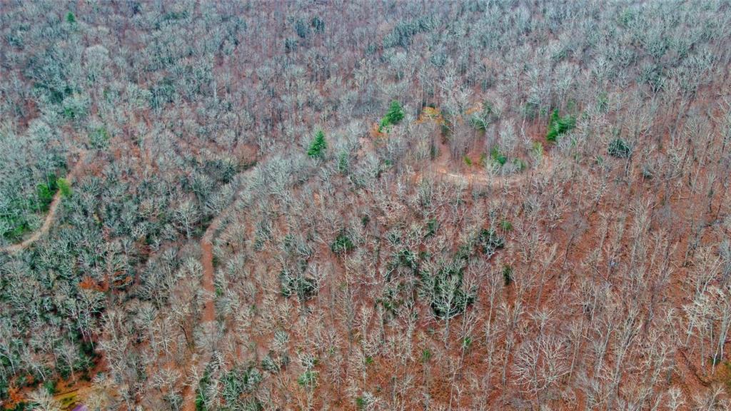 333 Favor Lane Rabun Gap GA 30568