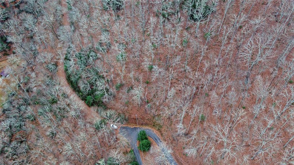 333 Favor Lane Rabun Gap GA 30568