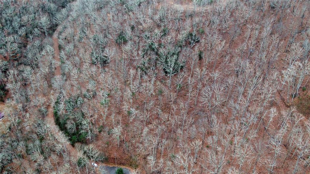 333 Favor Lane Rabun Gap GA 30568