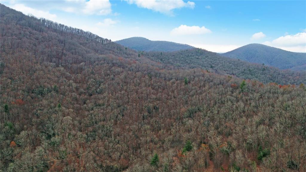 333 Favor Lane Rabun Gap GA 30568