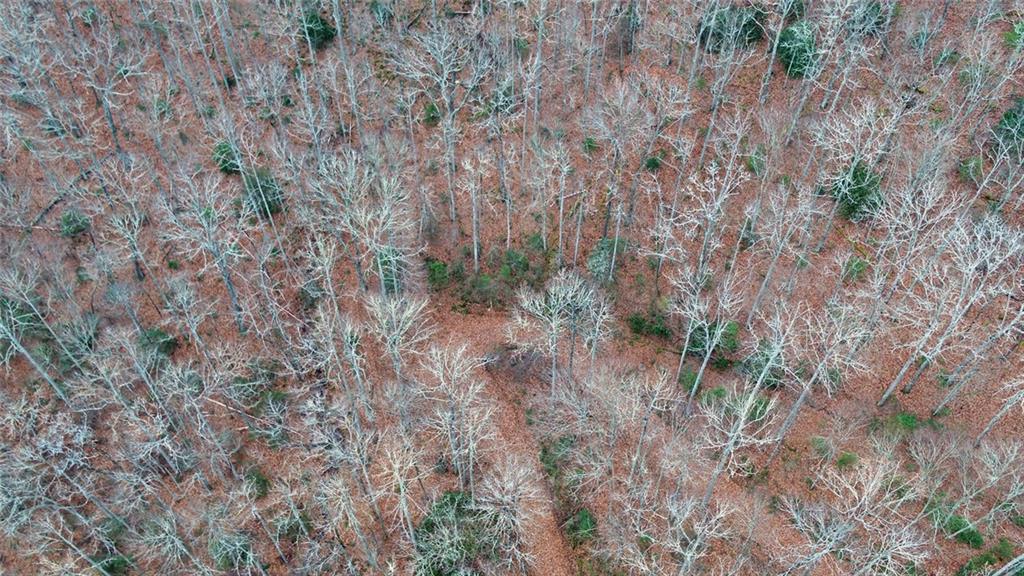 333 Favor Lane Rabun Gap GA 30568