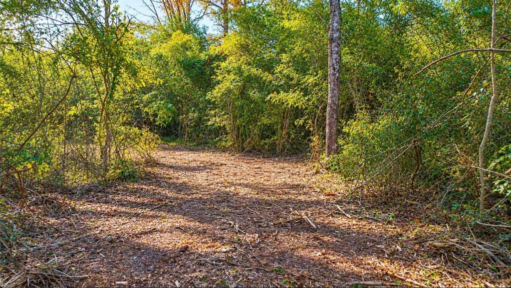 1921 NE West Hightower Trail Conyers GA 30012