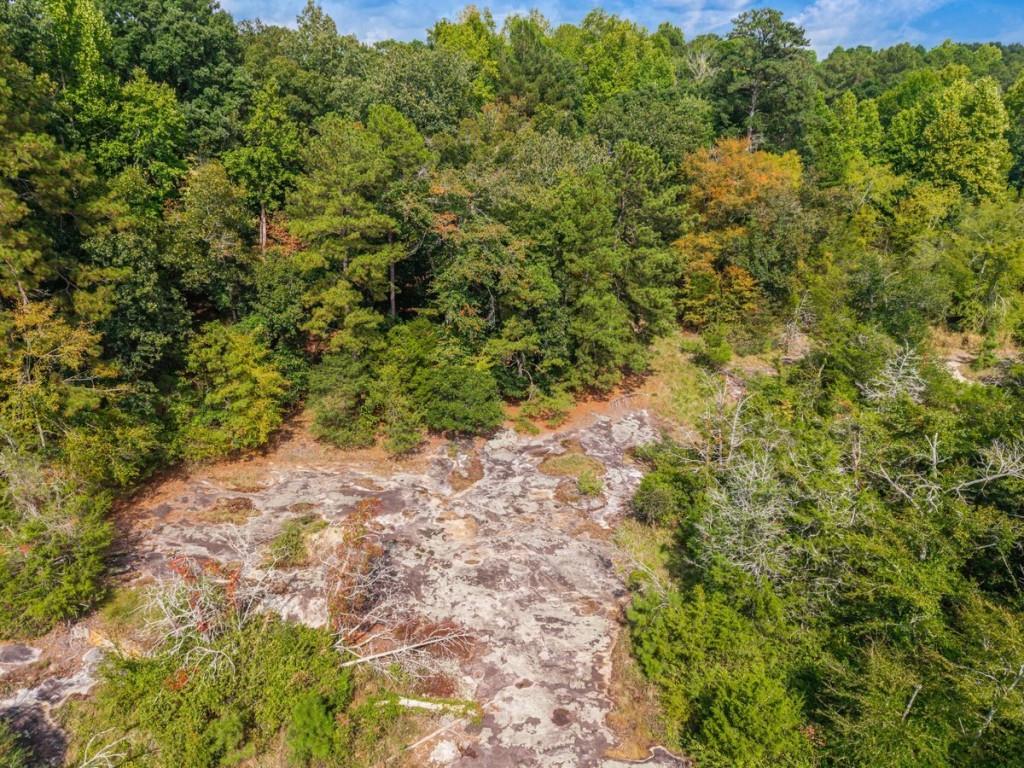1921 NE West Hightower Trail Conyers GA 30012