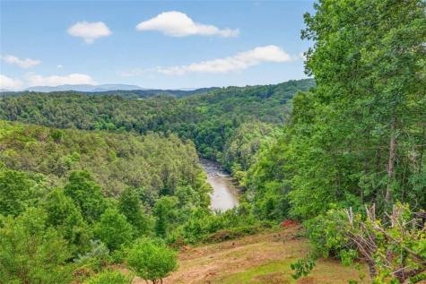 95 Scenic Way Ellijay GA 30540