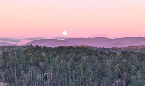 95 Scenic Way Ellijay GA 30540