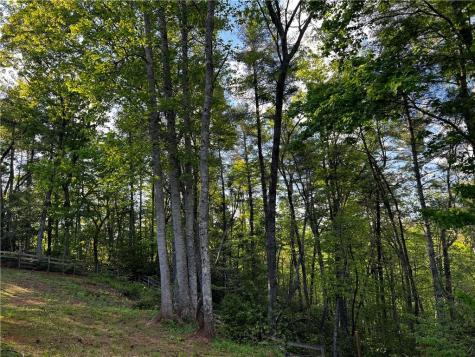221 Muscadine Road Dahlonega GA 30533