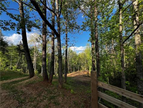 221 Muscadine Road Dahlonega GA 30533