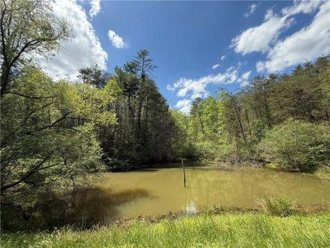 221 Muscadine Road Dahlonega GA 30533