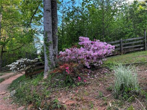 221 Muscadine Road Dahlonega GA 30533