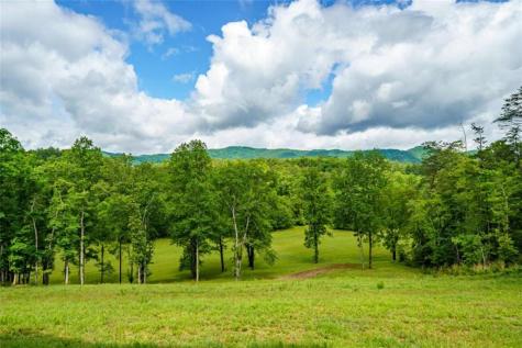 5664 Mobile Road Blue Ridge GA 30513