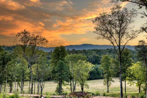 5664 Mobile Road Blue Ridge GA 30513