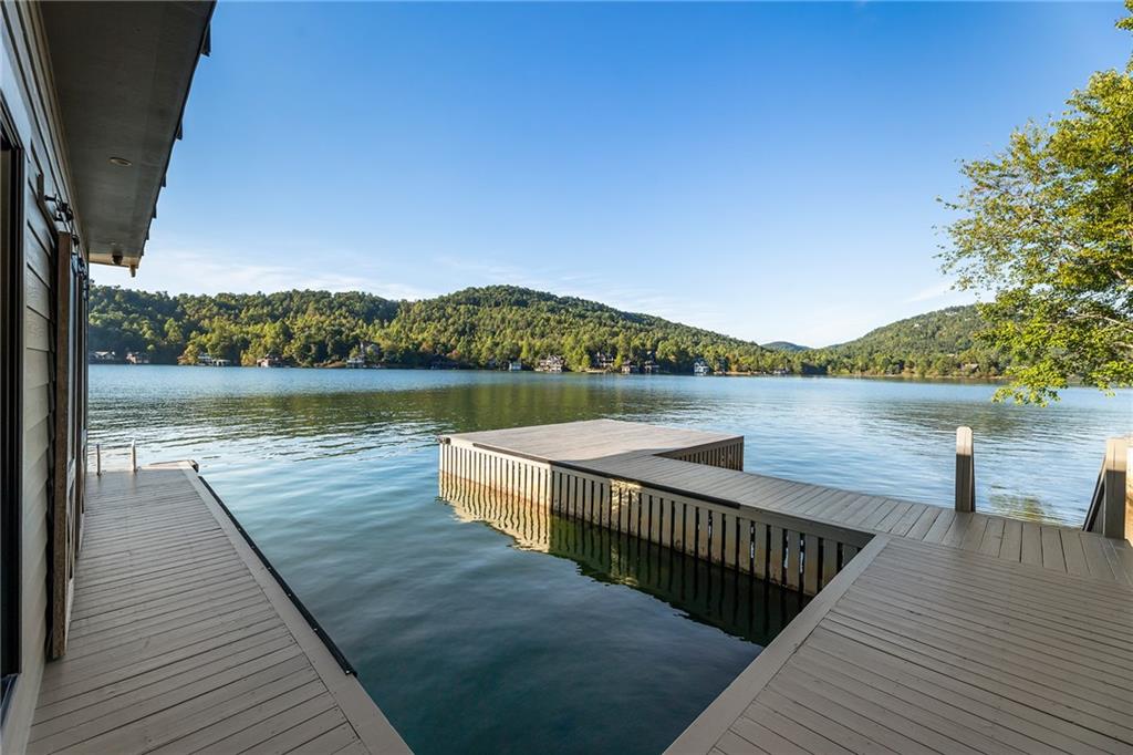 1514 Murray Cove Road Tiger GA 30576