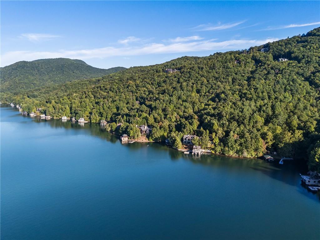 1514 Murray Cove Road Tiger GA 30576