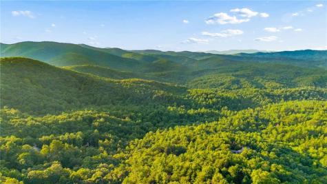252 Wild Turkey Bluff Jasper GA 30143