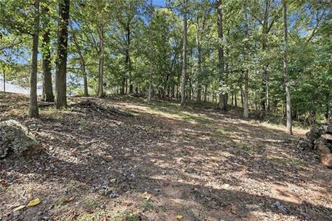44 Oakmont Drive Cleveland GA 30528