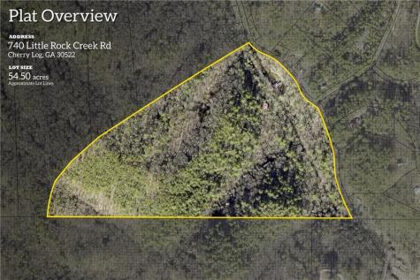 740 Little Rock Creek Road Cherry Log GA 30522