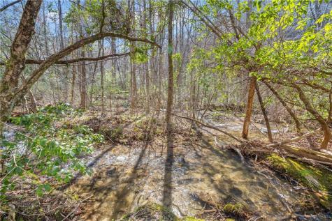 740 Little Rock Creek Road Cherry Log GA 30522