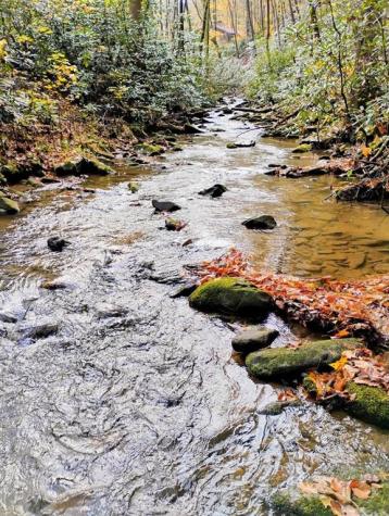 740 Little Rock Creek Road Cherry Log GA 30522