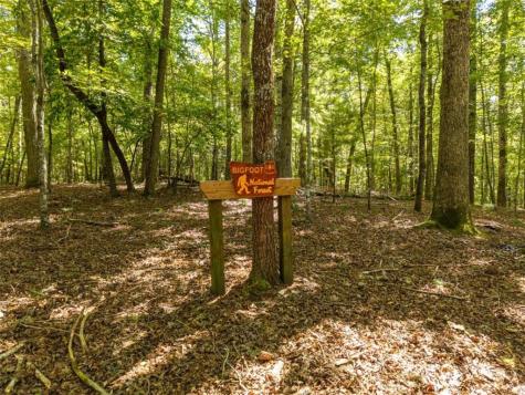 46 Gooseberry Trail Blue Ridge GA 30513